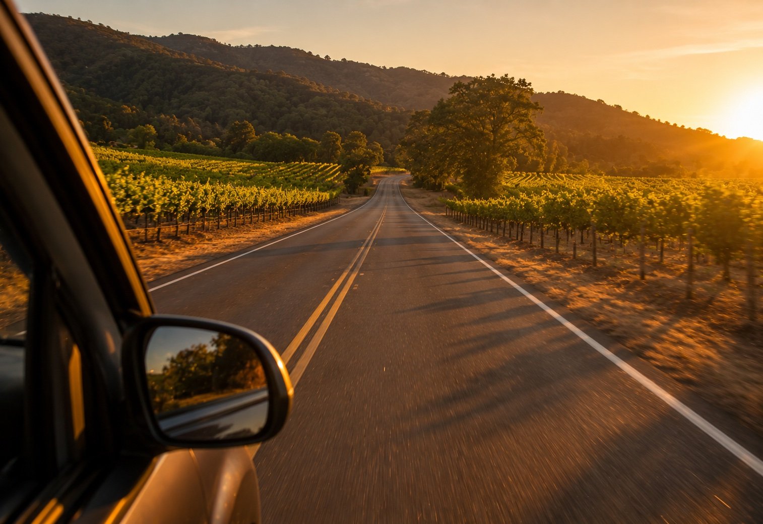 The Silverado Trail winding through golden Napa Valley vineyard rows at autumn harvest